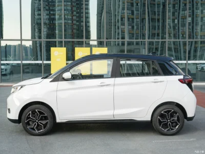 EV House jóvenes 4 asientos 408 km rango EV Coche Mini batería eléctrico coche