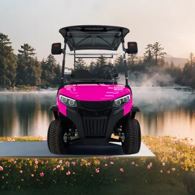 Super Quality Golf Cart 2 asientos Predator G2 Electric Golf Coche