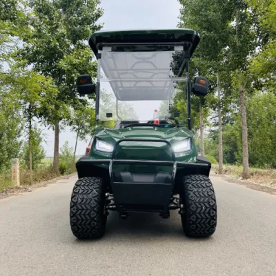 Cuatro ruedas adultos 8 plazas espacio de almacenamiento eléctrico Golf Cart