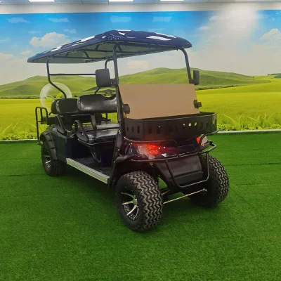 Con 60V Batería Electric Beach Buggy carro de golf eléctrico utilitario
