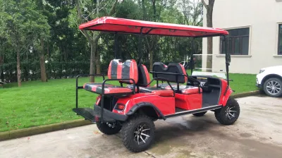 Carro de gasolina de color brillante 4 6 plazas que se utiliza el icono Gas carritos de Golf/ Eléctrica carro de golf