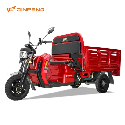Dls150 PRO China Suministro de Triciclo Eléctrico Nuevos Recursos de Energía Vehículo de Tres Ruedas Cargador Eléctrico de Alta Calidad para Carga Personalización Básica.