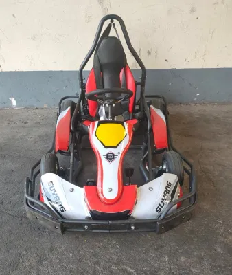 Suyang Popular producto niños Go Kart 24V20ah plomo ácido eléctrico Mini Kart