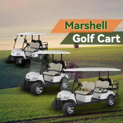 Calle Legal Cart coches antiguos Golf eléctrico Buggy Deportes coche
