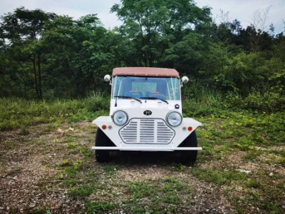 Coches de turismo de Golf Moke vehículo (72V).