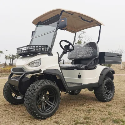 Carro de Golf de vehículos eléctricos de Zona de Lujo personalizado LSV de nuevo diseño Carro de Golf de conversión