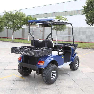 China eléctrica fabricantes OEM de carros de la caza de 4X4 levantaron el carro (DH-C2)
