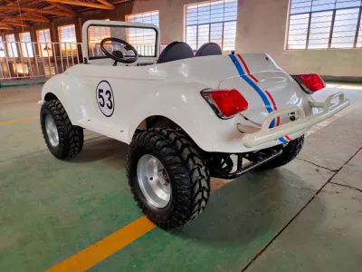 Manufactura Quad ATV 2WD 4WD carro de golf Cool Mini Coche escarabajo