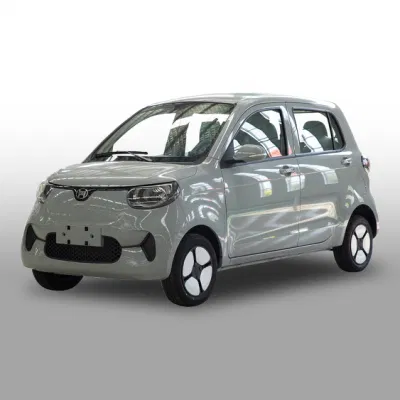 Los Jóvenes Henrey coche eléctrico del vehículo eléctrico de la familia