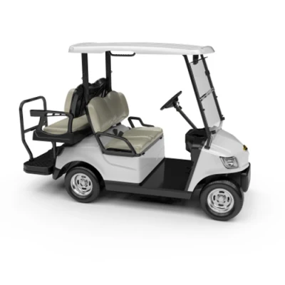 Hot Sale Electric Elevó Golf Cart AC Motor 4 Wheel Mini Hunting Troly de litio batería de coche de golf para el Club OEM (DG-M2+2)