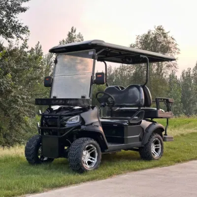 Evolution 48V 5seat 6seat Electric Golf Cart Solar Power Golf Carros