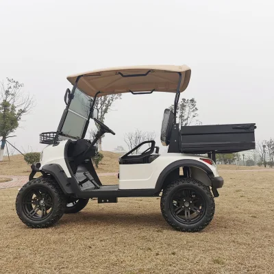 Carro de Golf de vehículos eléctricos de Zona de Lujo personalizado LSV de nuevo diseño Carro de Golf de conversión