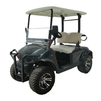 Carrito de Golf de 4 asientos con batería de litio y medidor de velocidad Y Radio