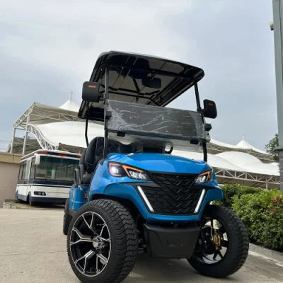 Mejor vendedor extraordinario buen rendimiento Golf Cart 6 seater