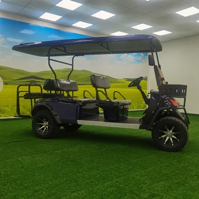 Con 60V Batería Electric Beach Buggy carro de golf eléctrico utilitario