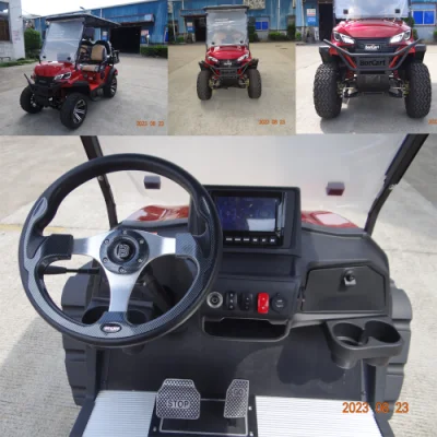 Electric Go Kart IP66 Standard Waterproof Golf Cart Precio mayorista