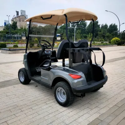 Aprobación CE vecino Turismo Buggy 2 plazas Utilidad Mini Golf Carro
