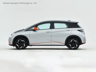 2022 Electric Automotives nueva energía a las 4 ruedas del vehículo eléctrico de adultos Made in China Electric pequeña berlina