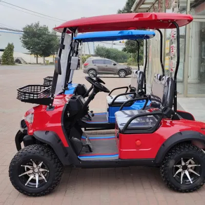 Aprobación CE vecino Turismo Buggy 2 plazas Utilidad Mini Golf Carro