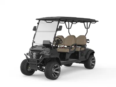 Carro de Golf eléctrico de fábrica 48V 5kw Motor 4 asientos levantado Golf Kart