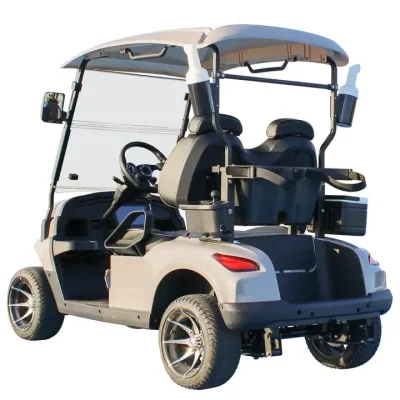 Mejor puntuado fuera de carretera neumáticos Golf Cart fuera de carretera