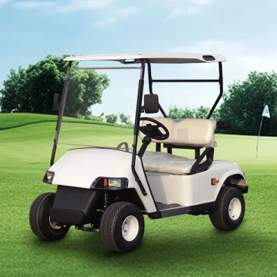 Utilidad de rendimiento rápido Turismo de coches pequeños eléctricos Mini Ocio motorizado Transfer de Carro de Golf LSV para la venta
