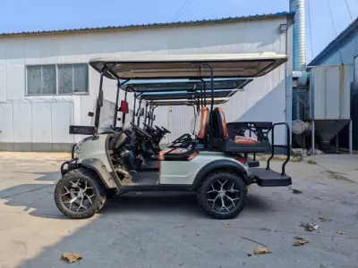 Coleman Electric Golf Cart 2 navegantes Legal Street Golf Cart Batería de litio para la venta Servicios de Golf motorizado Carro de empuje personal Carros de golf eléctricos