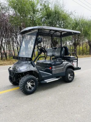 48V/72V 5kw Electric Precio cochecito de golf de Hummer, carritos de golf pasajero