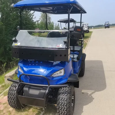 2024 Scooter eléctrico/ gasolina Cart 4 6 seater icono usado Carros de golf con gas y personalización gratuita