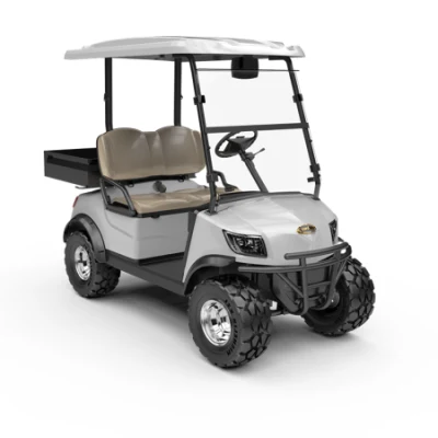 Automoción elegante estilo 48V batería operar utilidad vehículo eléctrico Coche de golf para campos de golf (DH-M2+cargo box)