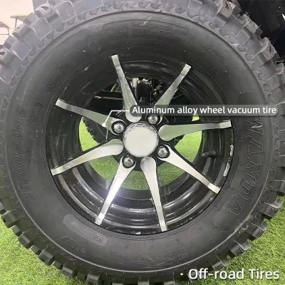 Color personalizado gratis mejor motorizado poderoso Carrito de Gulf Tour Autobús Moke ATV Turismo Transporte Buggy Bus Mini Golf eléctrico Precio de la compra en venta con 2 asientos