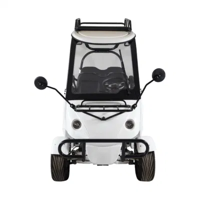 Funciona con batería de adultos de moda turística Mini Eléctrico coche con motor de 2500W