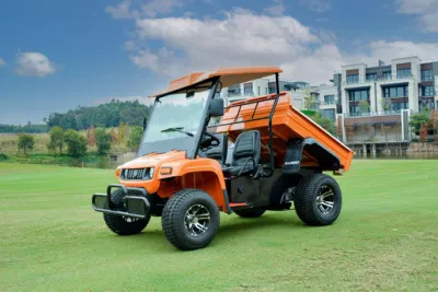 Venta caliente off-road de la utilidad de Mini vehículo agrícola ATV con 2 plazas