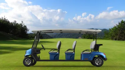 China personalizable Vintage cojín eléctrico de lujo y los asientos de coche eléctrico de cochecito de golf