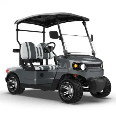 Carrito de golf Ulela MFG 20-30 km/H Max Speed Golf Electric Carrito China 2 asientos personal Golf Cart