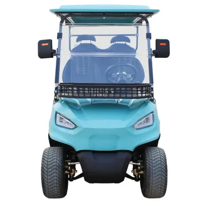 OEM Servicio aceptado 4+2 asientos Electric Club Car Classic Y carrito de golf con batería