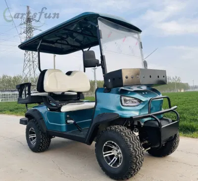 Carrito de golf de gasolina, todoterreno, utilitario, coche turístico de 4 ruedas, carrito de golf Recepción de fábrica del hotel