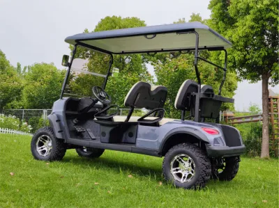 Wintao Custom litio batería eléctrico Golf Cart Mini Golf Buggy