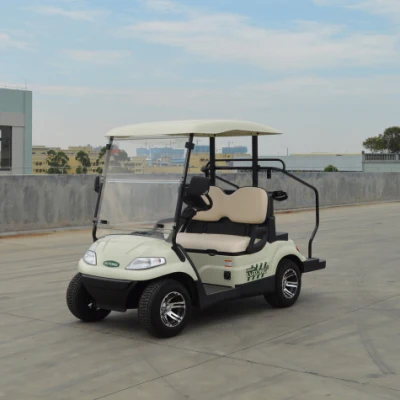 Calle Legal Club Cart 2 asientos Electric Car