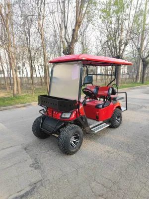 Carrito de gasolina 4 6 asientos usados icono de Gas Powered Golf Carritos/ Carro de Golf eléctrico