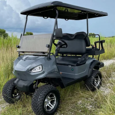 Comercio al por mayor de ancianos Custom Scooter eléctrico de baja velocidad 4 asientos para 6 carros de golf