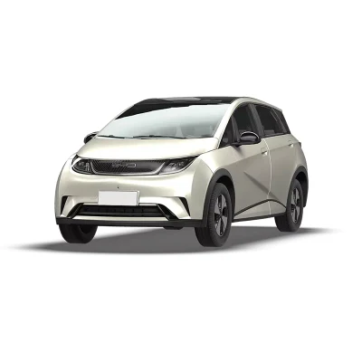BYD Dolphin New Electric Car New Energy para adultos Vehículo
