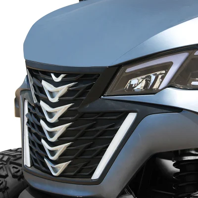 Buen servicio 20units/40HQ OEM Marca 3units/Crate China UTV Buggy Electric Carrito de Golf