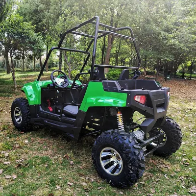 OFF Road Electric UTV todo terreno vehículo Buggy Racing UTV Venta de vehículos utilitarios