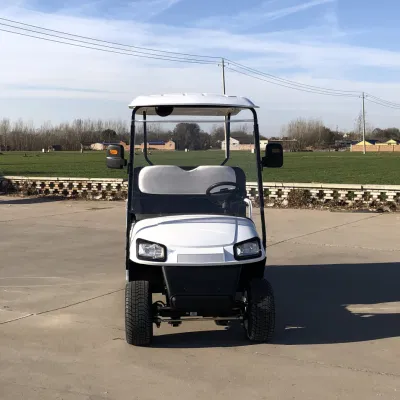 Batería de Golf de carga de litio Golf Cart buggy con remolque Caja