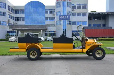 Rariro 9-12 asientos eléctrico Classic Golf Cart para Club, campo de Golf, Hotel, Escuela