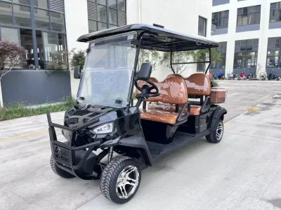 LSV City Tourist Car Street Legal Golf Cart con refrigerador