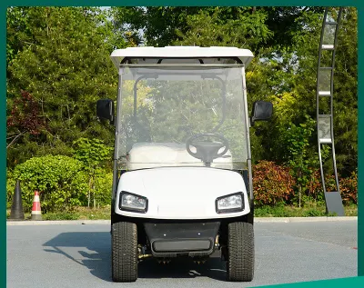 Venta de carros eléctricos para el Mayoreo de vehículos utilitarios Australia 2 pasajeros Asientos de 4 asientos de seguridad 4X4 Caza Golf Cart