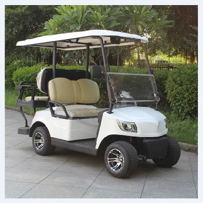 Acero pequeño coche eléctrico contenedor de concha de coche CE Cart Scooter de golf
