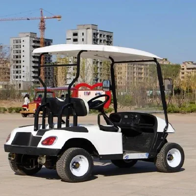 Evolution 48V 5seat 6seat Cartevolution 48V 5seat 6seat Carrito eléctrico de Golf